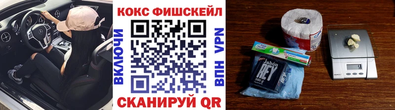 Кокаин FishScale  Городовиковск 